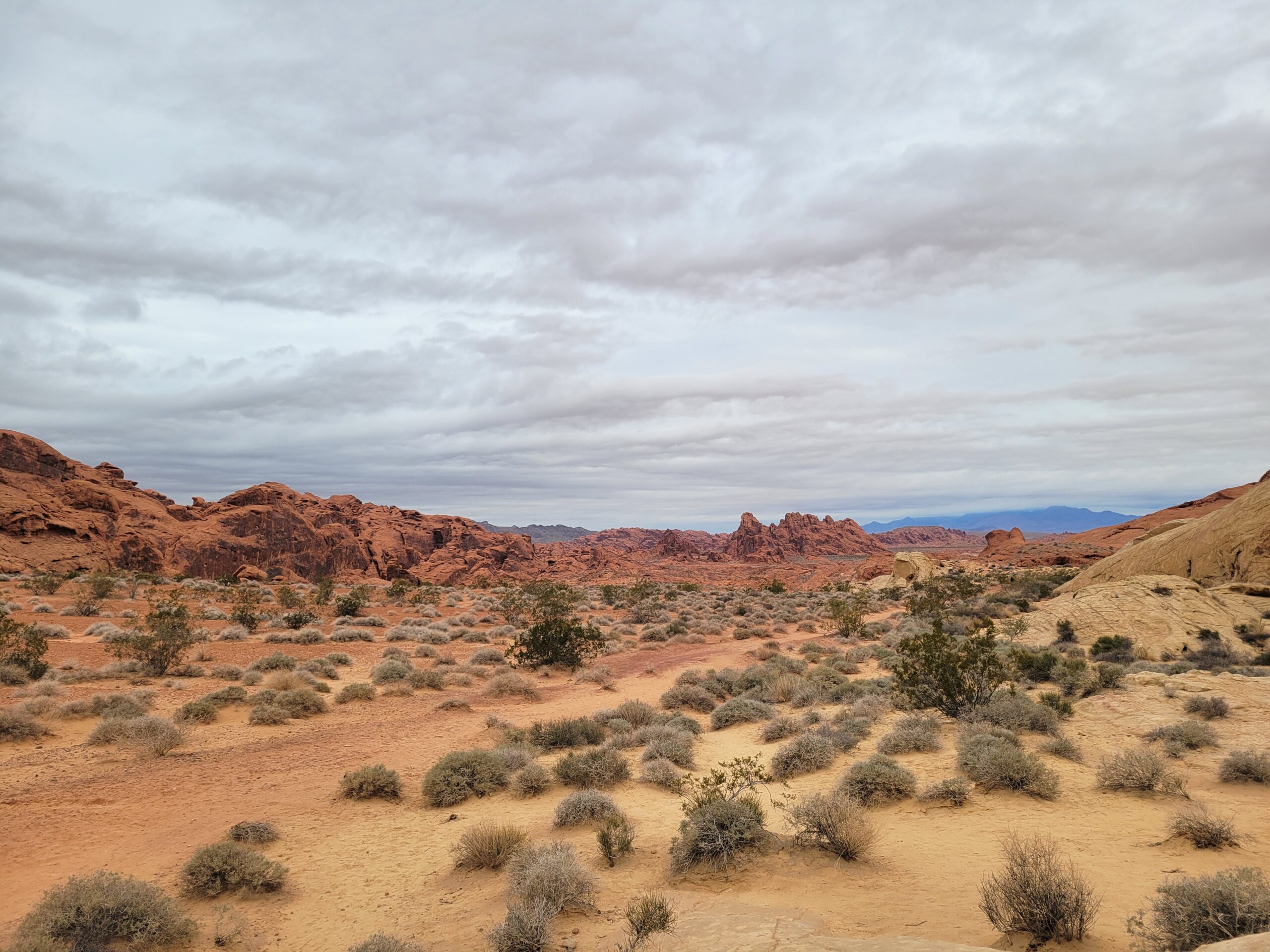 Ultimate Winter Southwest Road Trip: Discovering Zion, Valley of Fire, Red Rock Canyon, and Hoover Dam from Vegas